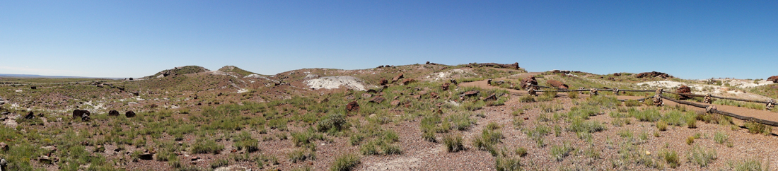 panorama of the Giant Logs Trail